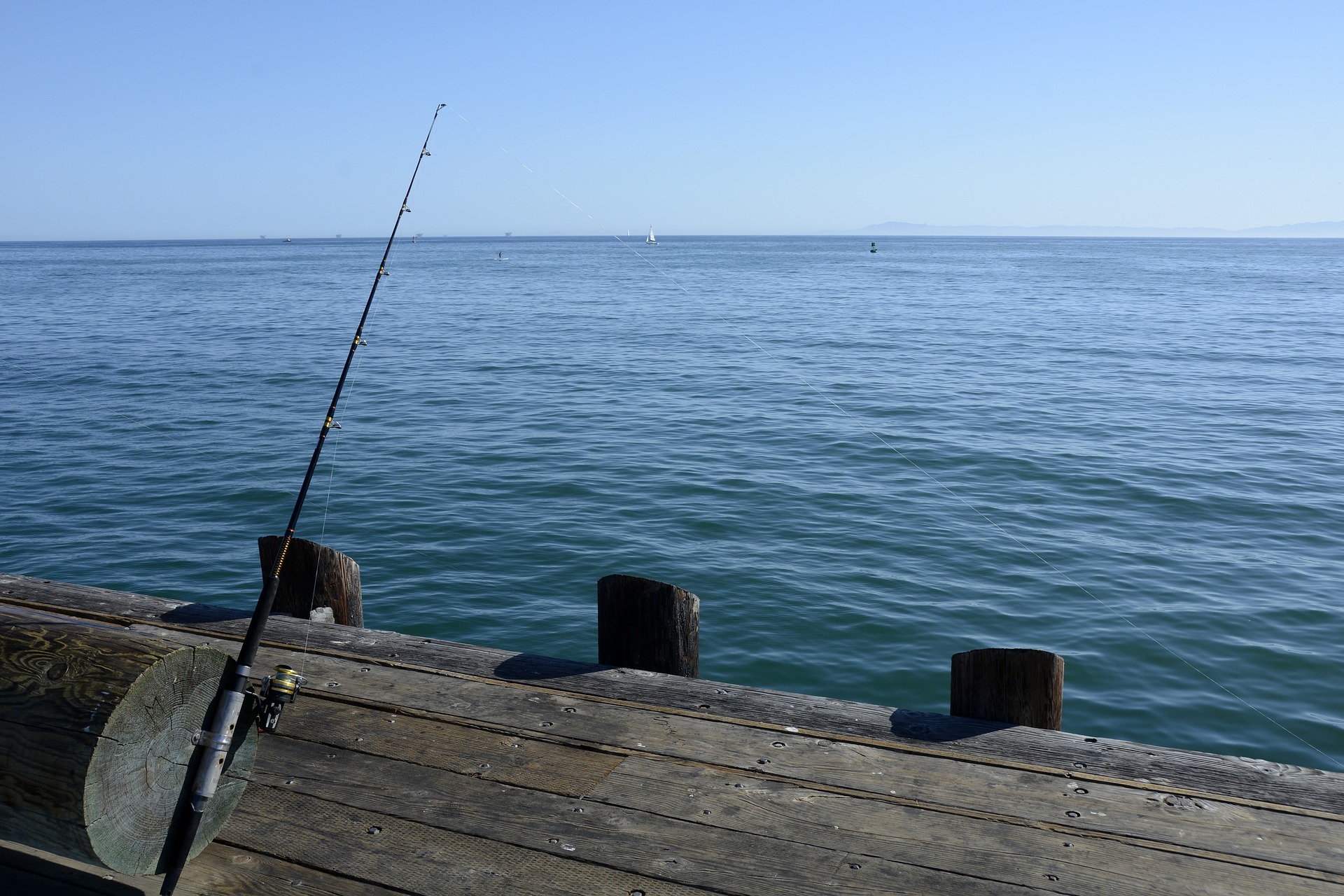 daiwa tournament