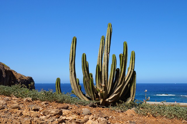 ostrov Tenerife - Kanárské ostrovy